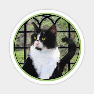 Tuxedo Cat in Window Magnet